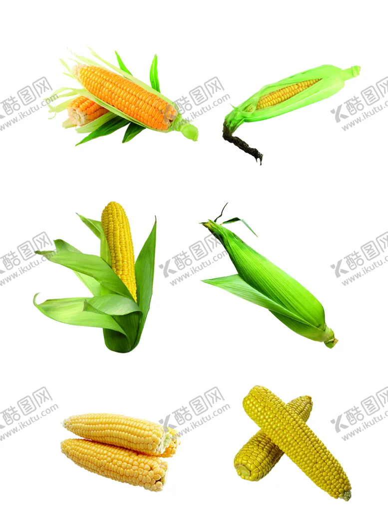 编号：50479610281753308857【酷图网】源文件下载-玉米早餐超市海报免扣png素材