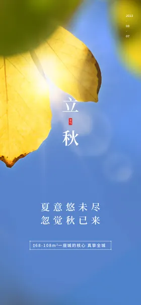 立秋插画天宣传梧桐落叶