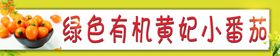 编号：57642809240933547908【酷图网】源文件下载-小番茄彩色条幅