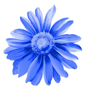 青花瓷素材