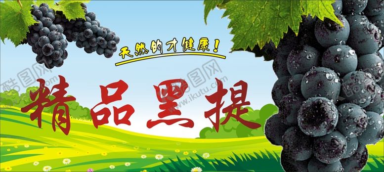 编号：13427601162200346682【酷图网】源文件下载-极品黑提