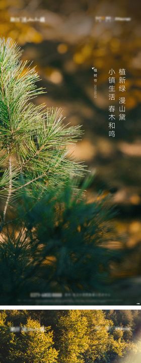 植树节海报木公历日意境