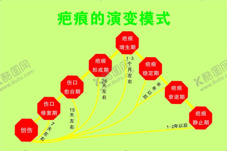 疤痕的演变模式修复美容图修复