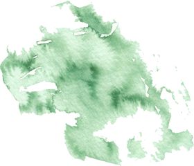 海报元素花草元素展架元素