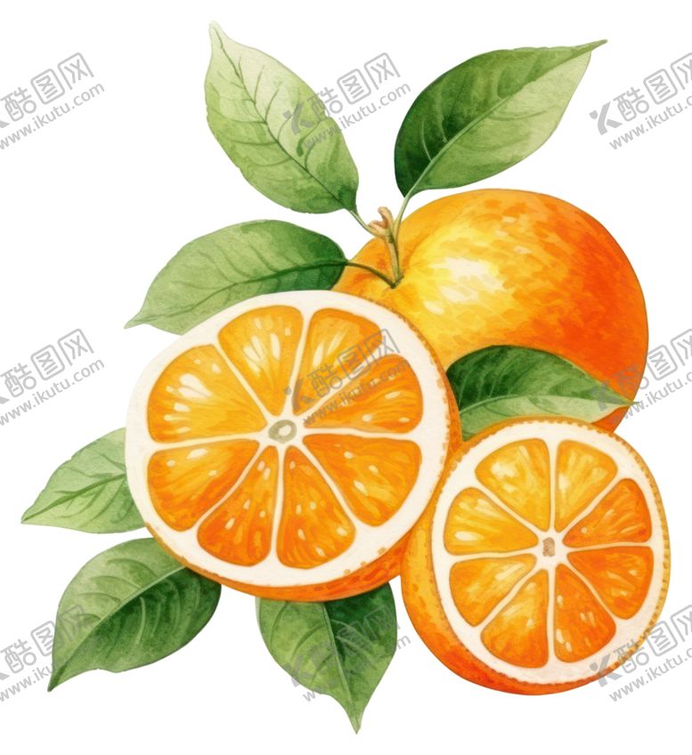 编号：41380602240845511566【酷图网】源文件下载-橙子