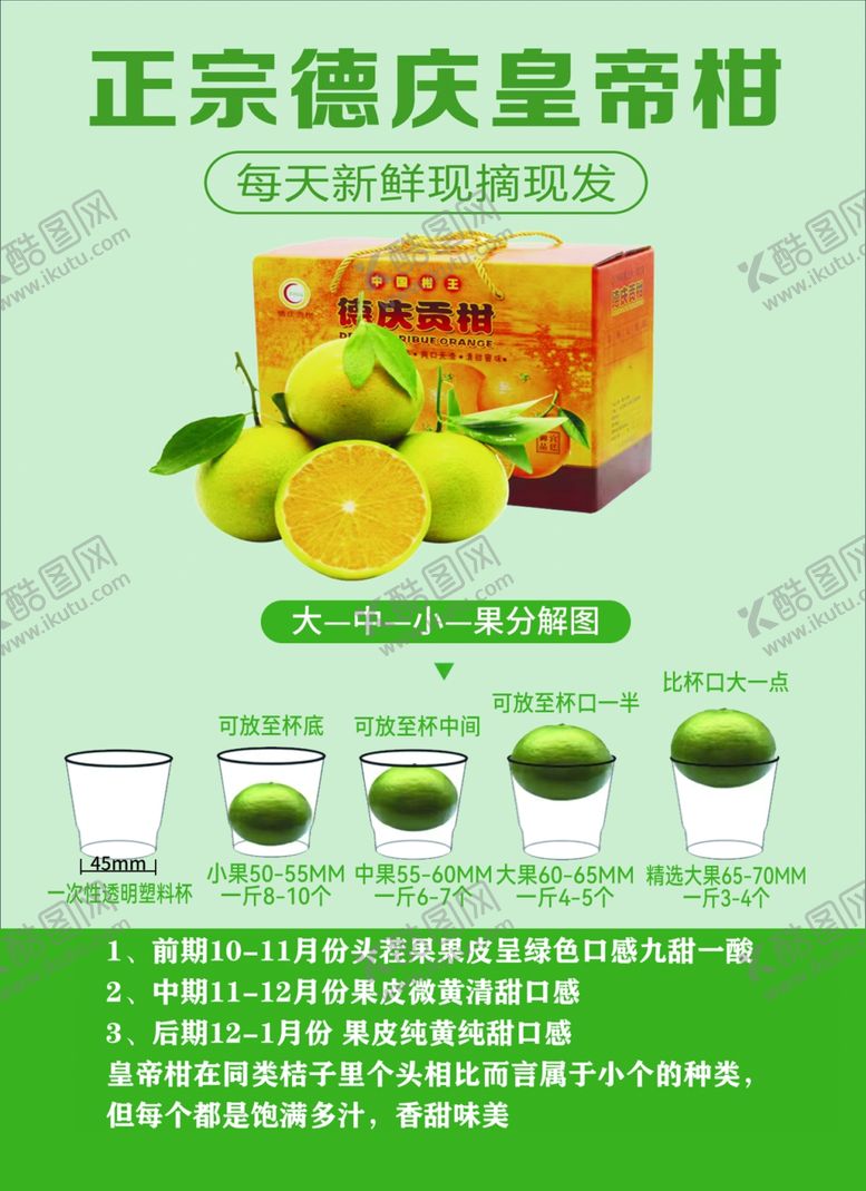 编号：50327502280648012997【酷图网】源文件下载-正宗德庆皇帝柑