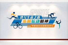 平安社区文化体育活动中心体育馆