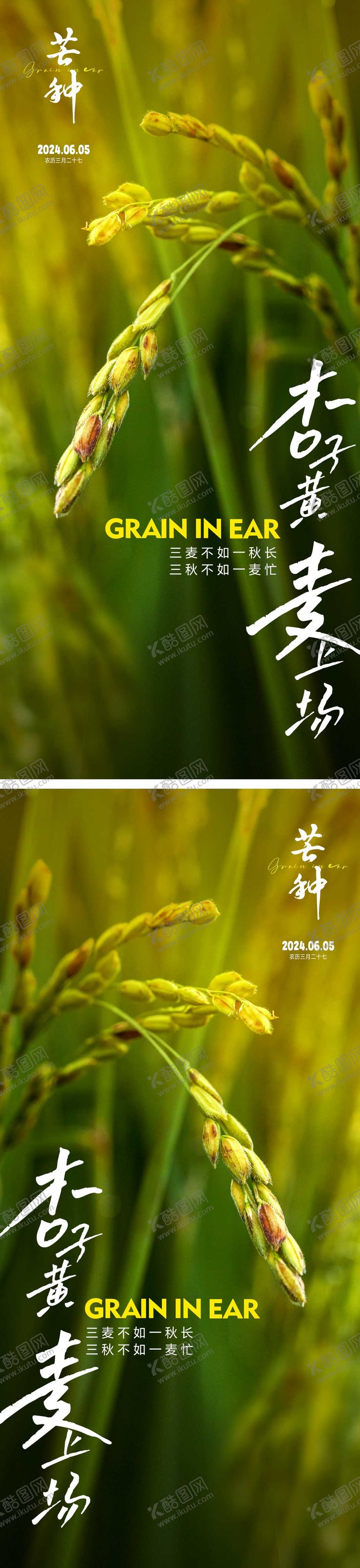 编号：47916511301625301706【酷图网】源文件下载-芒种节气海报