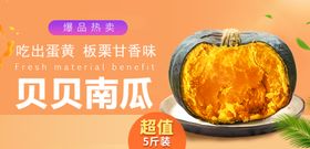 生鲜南瓜banner