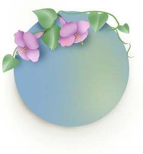 牵牛花素材背景
