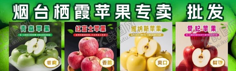 编号：51439811020326425413【酷图网】源文件下载-烟台栖霞苹果零售批发