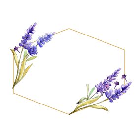 薰衣草边框