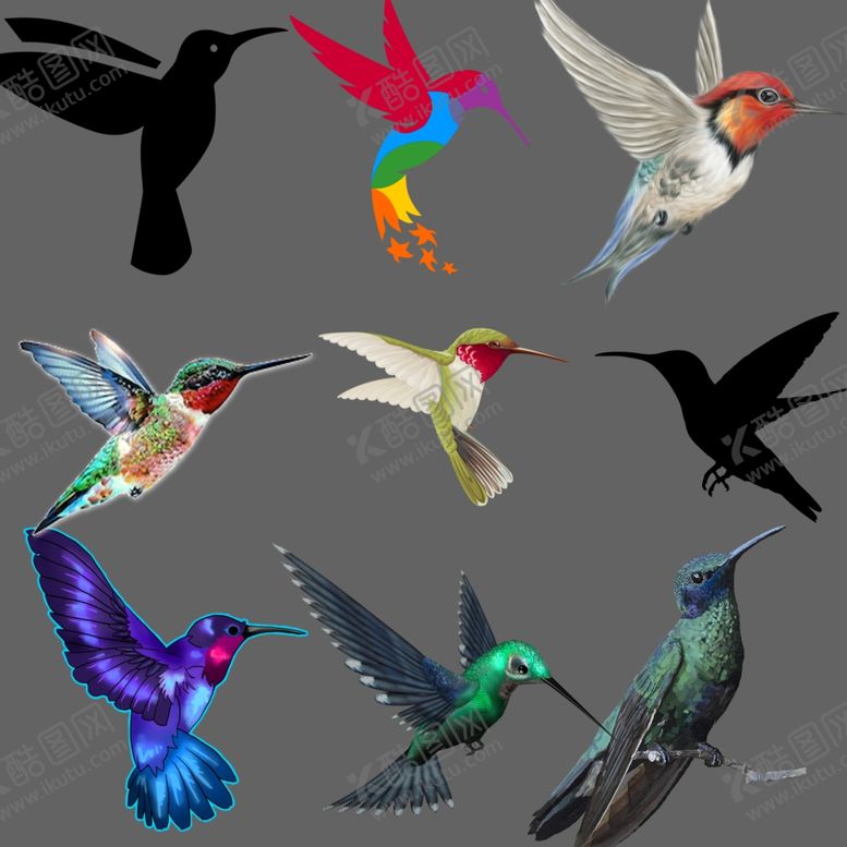 编号：99561710021745296476【酷图网】源文件下载-蜂鸟png免扣图片