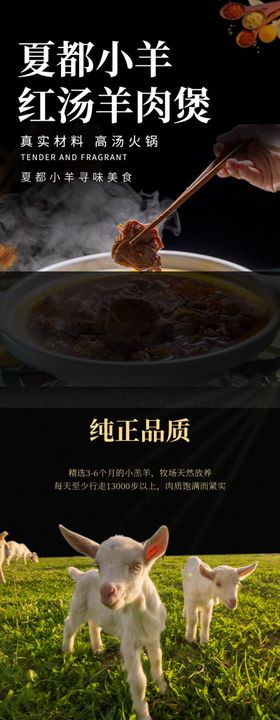 羊肉详情