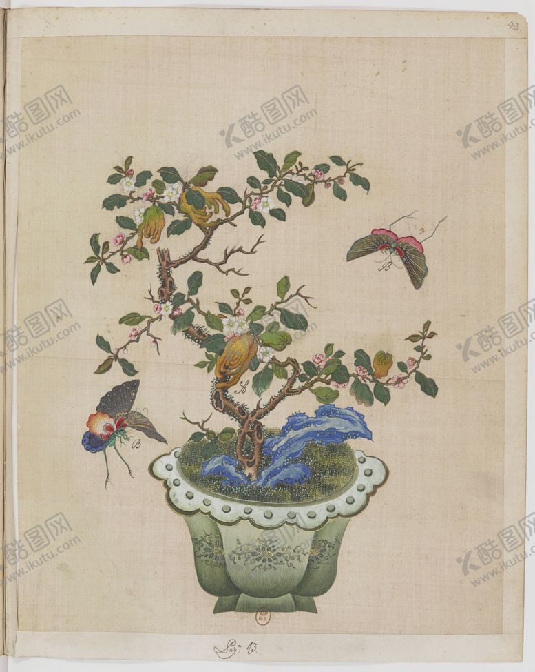 编号：61253704212320547787【酷图网】源文件下载-盆景花鸟