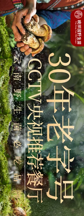 大众点评野生菌五连图设计