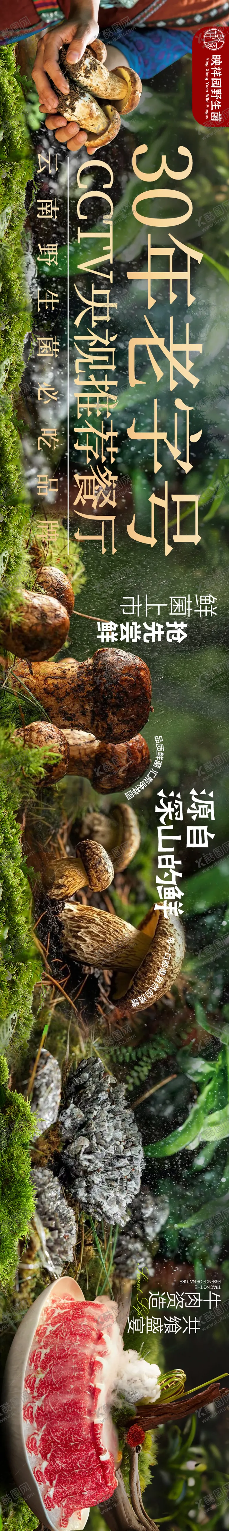 编号：38003807260411127764【酷图网】源文件下载-大众点评野生菌五连图设计