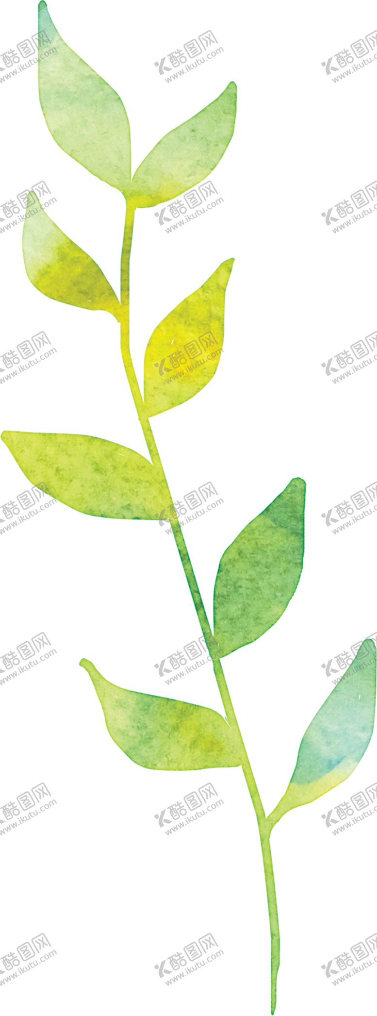 编号：94901207141745055138【酷图网】源文件下载-水彩花
