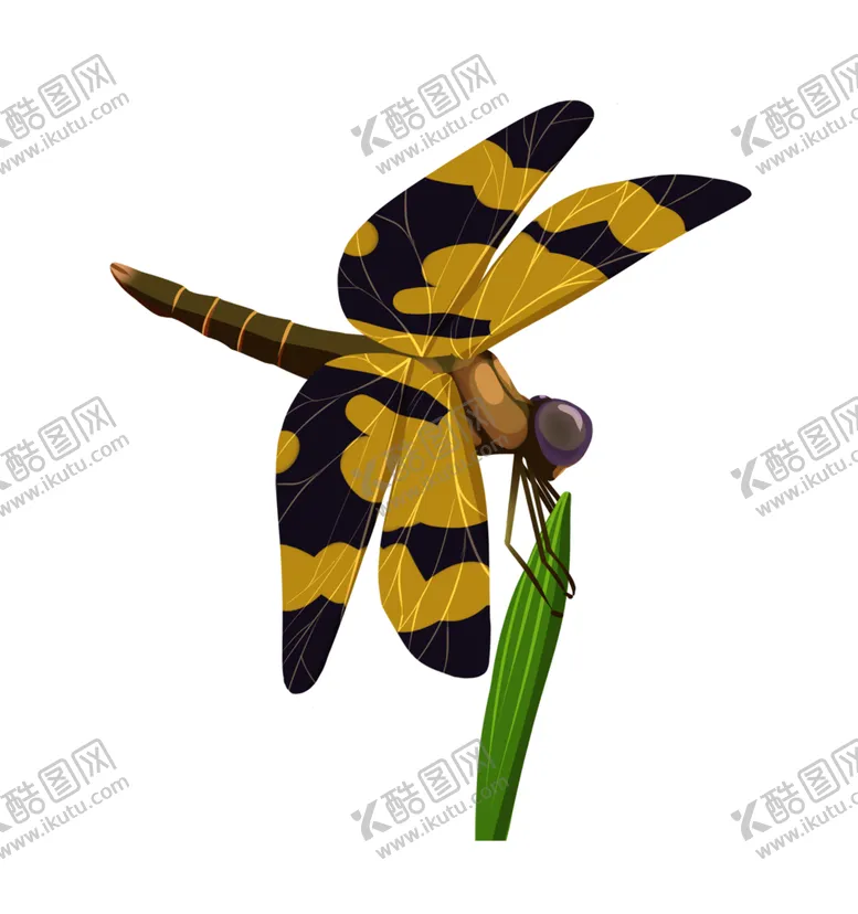 编号：42511604230041229947【酷图网】源文件下载-蜻蜓