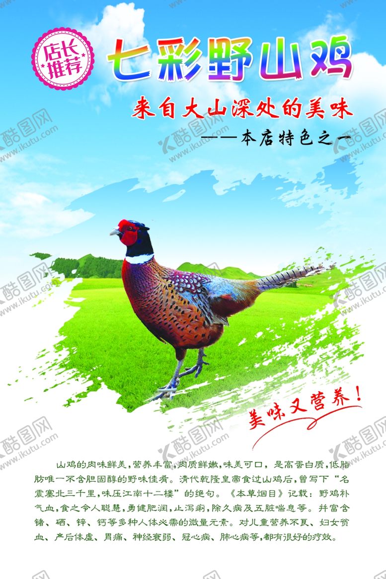 编号：93257410070426197040【酷图网】源文件下载-七彩野山鸡