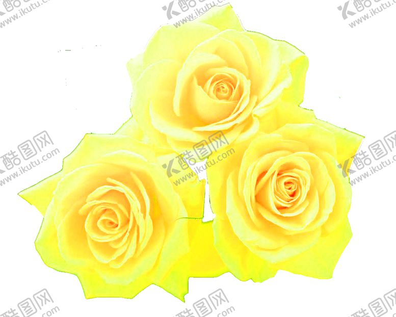 编号：84546810300135072099【酷图网】源文件下载-花素材