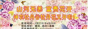 牡丹花
