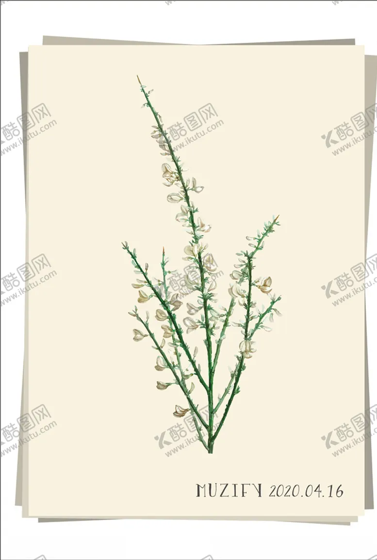 编号：64263906300827421595【酷图网】源文件下载-野蔷薇植物图鉴