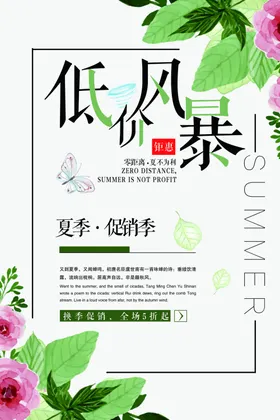 低价风暴