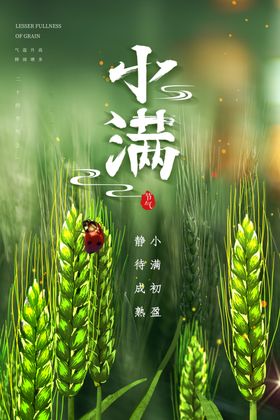 小满海报地产节气宣传唯美清新广告
