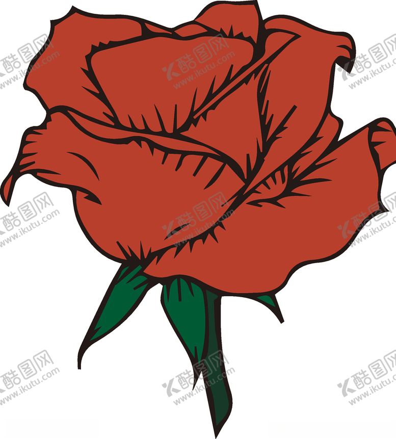 编号：28710809200508175295【酷图网】源文件下载-玫瑰