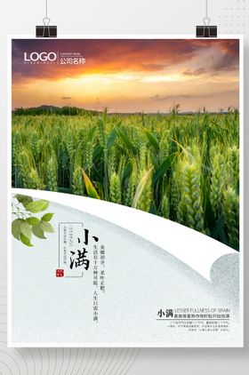 二十四节气手绘浪漫小清新海报
