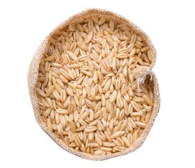 燕麦