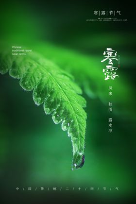 寒露白展架谷雨微单