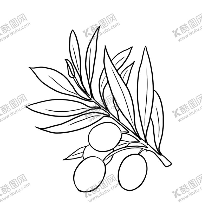 编号：49838710190109056314【酷图网】源文件下载-橄榄