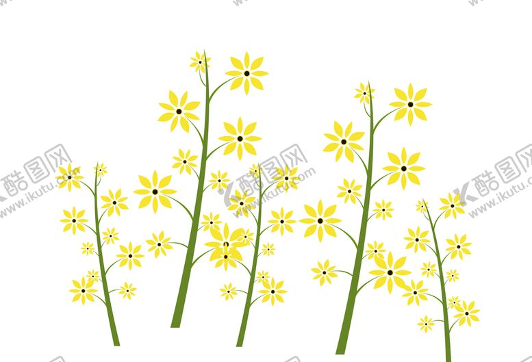 编号：41847810190124527851【酷图网】源文件下载-油菜花插画素材
