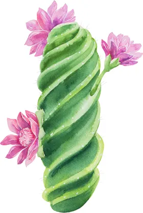 手绘仙人掌矢量矢量植物儿童本