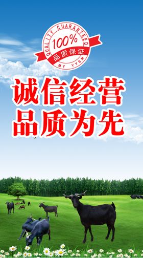 大羯羊海报