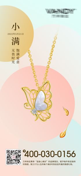小满节气首饰海报