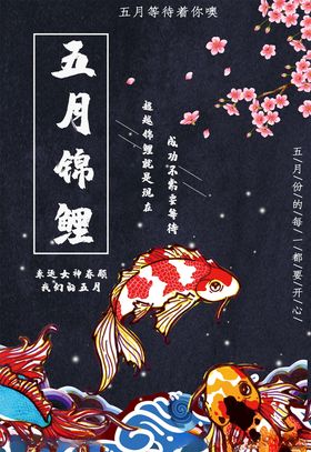 锦鲤海报