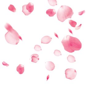 花瓣