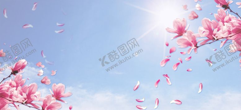 编号：10953006242209266644【酷图网】源文件下载-桃花海报背景