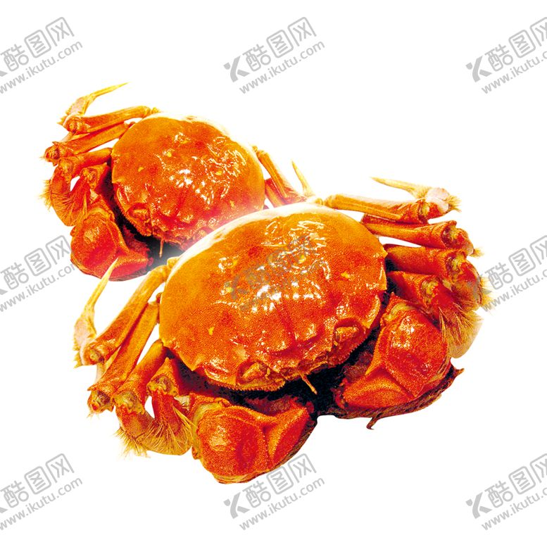 编号：65192209201038183717【酷图网】源文件下载-装饰素材