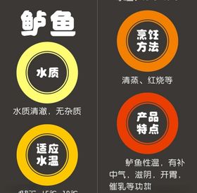 鲈鱼简介