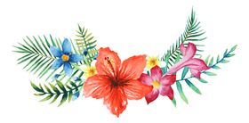 清新水彩植物花朵插画