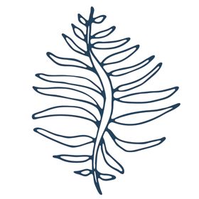 手绘海洋生物