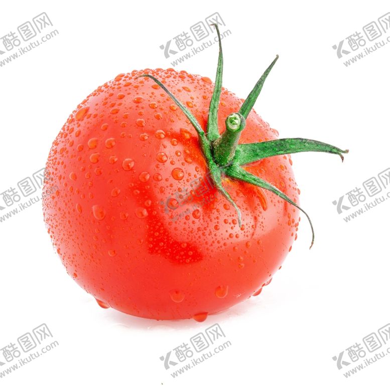 编号：89268410151415498107【酷图网】源文件下载-西红柿