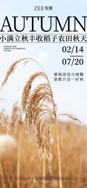 小满立秋节气海报