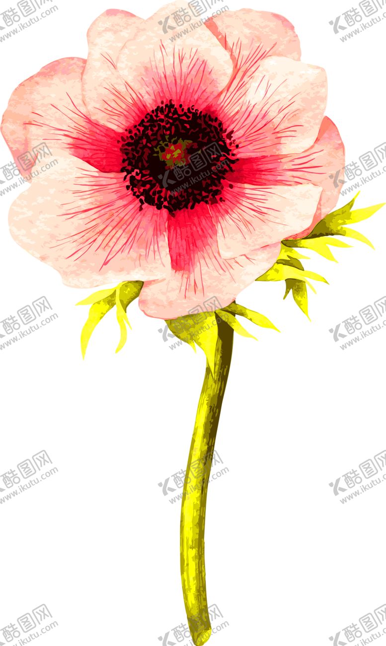 编号：47449006290756302041【酷图网】源文件下载-鲜花装饰