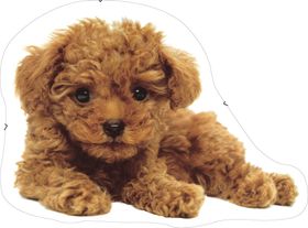 矢量爱心泰迪犬