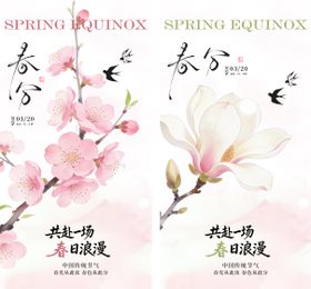 春分花卉海报